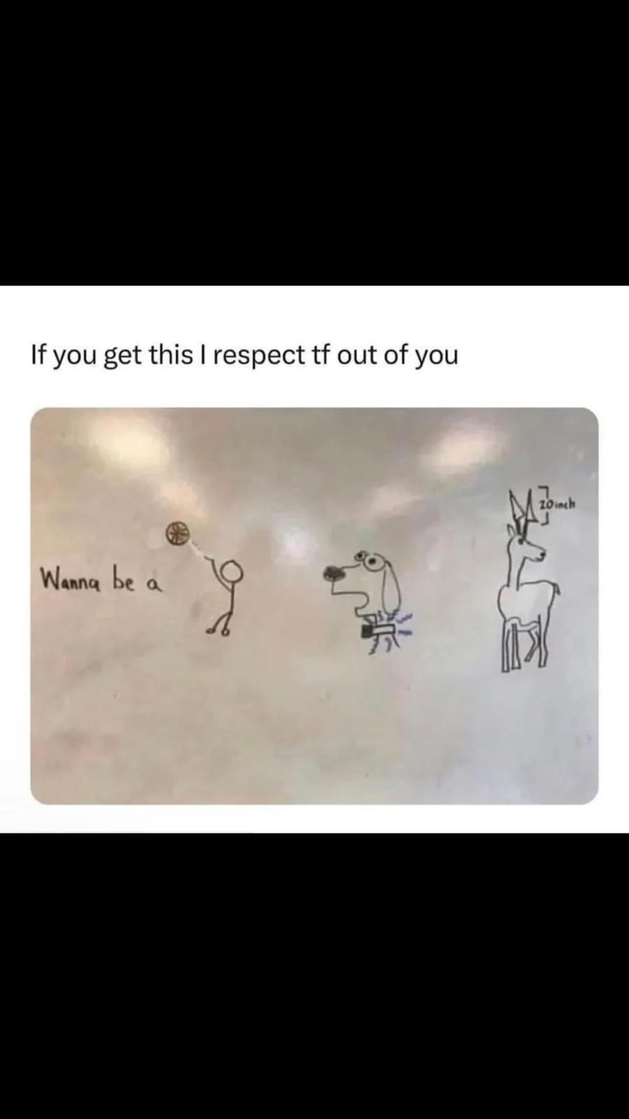 A hand-drawn image shows a stick figure holding a basketball, next to a cartoon dog with a blue sparkly tail, and a deer…