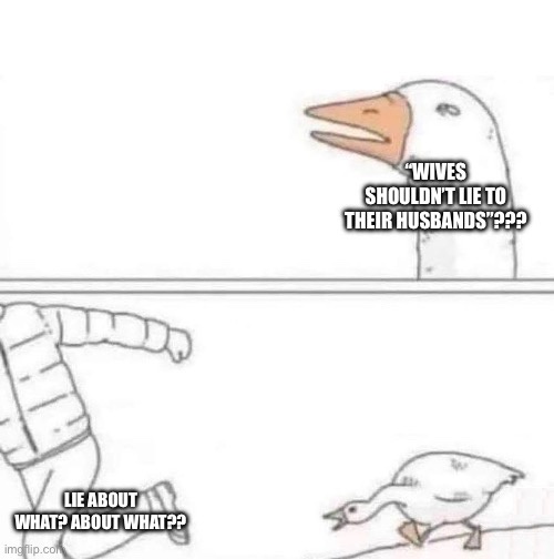 The top panel shows a cartoon goose with an open beak, overlaid with text asking "WIVES SHOULDN'T LIE TO THEIR…