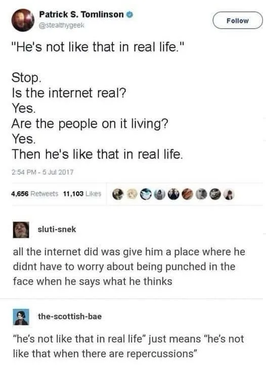 A screenshot of a 2017 tweet by Patrick S. Tomlinson (@stealthygeek) that sarcastically argues that if the internet is real…