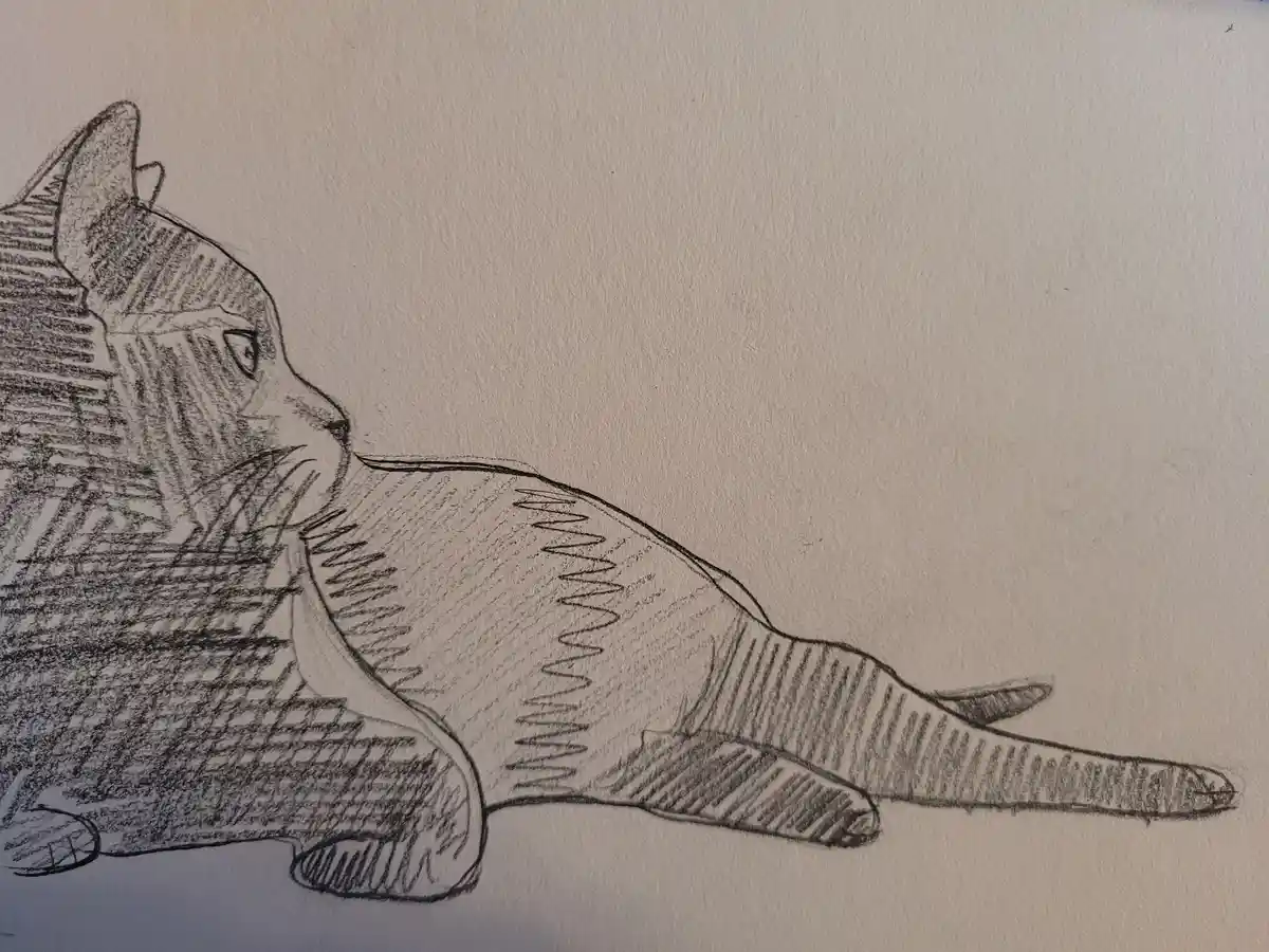 A pencil sketch of a cat lying down with a relaxed posture, using cross-hatching and shading techniques on textured paper…