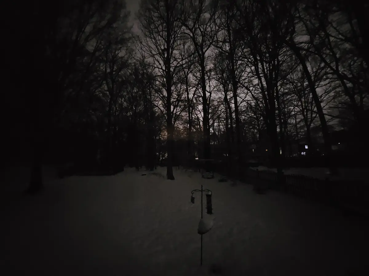 A dark, snowy park at night with bare trees silhouetted against a dim sky, a snow-covered bird feeder in the foreground, and…