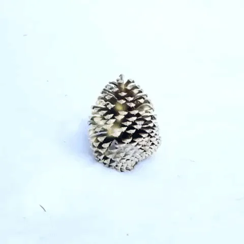 Pinecone Power Unite!