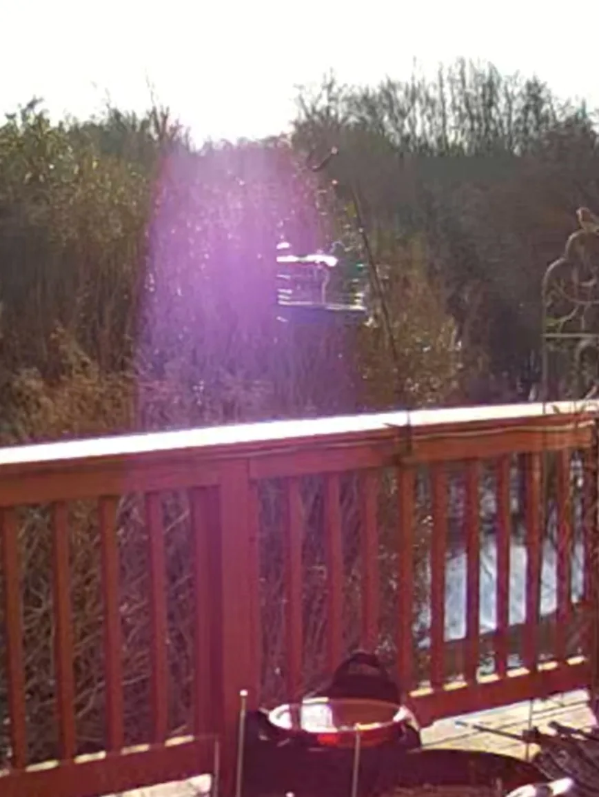 A blurry, sun-drenched photo from a wooden deck shows a fishing rod extending over water with a faint purple lens flare. The…