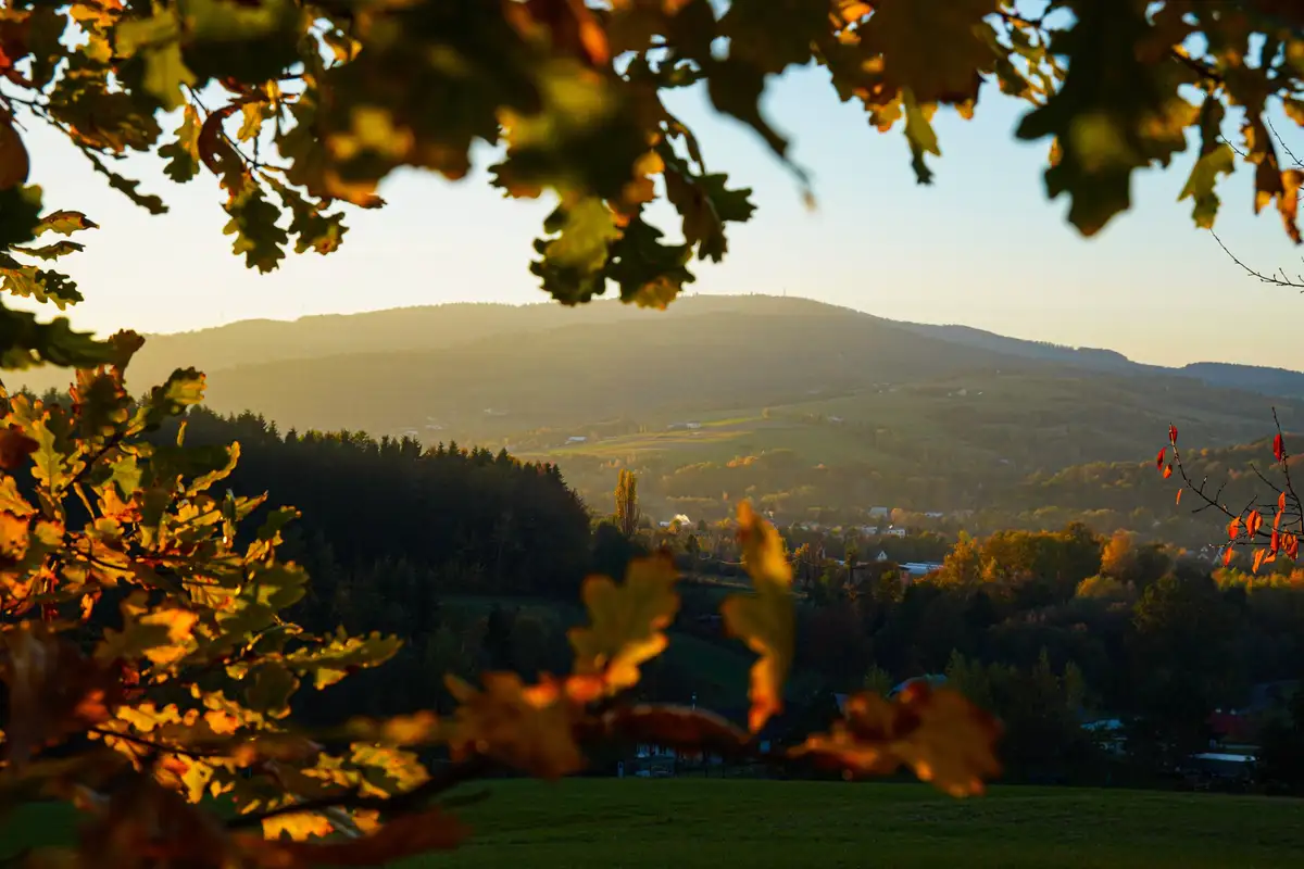 A scenic autumn landscape viewed through out-of-focus oak leaves, with rolling hills, forests, and a village bathed in…