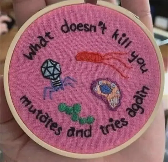 A hand holds a pink embroidery hoop displaying a humorous take on the phrase 'what doesn't kill you makes you stronger,'…