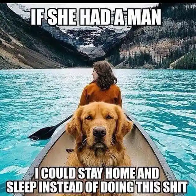 A golden retriever sits in the foreground of a canoe, looking directly at the camera with a weary expression, while a woman…