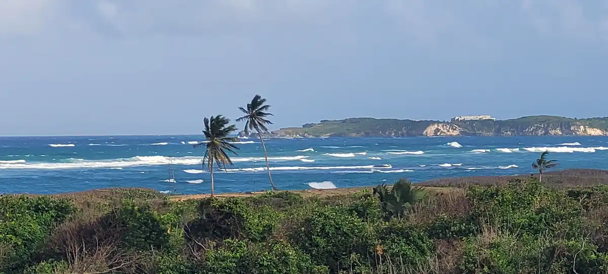 A scenic coastal view with turquoise ocean waves, green shrubbery in the foreground, and two palm trees bending in the wind…