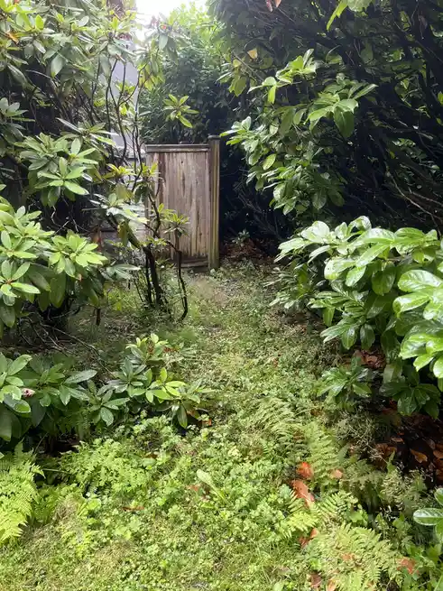 A narrow, overgrown path through dense green foliage leads to a weathered wooden gate, with text overlaid that reads 'i'm…