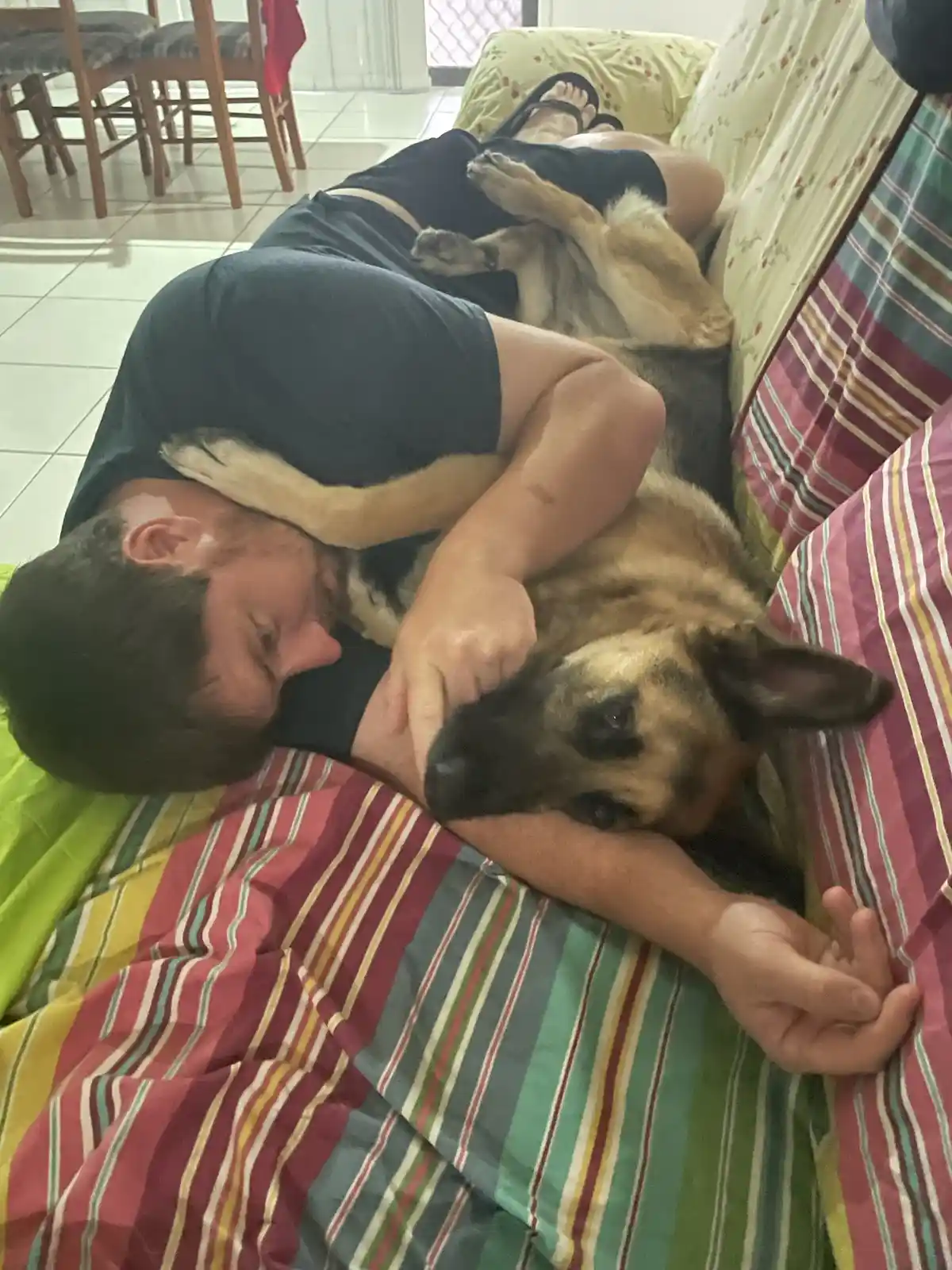 A man is lying on his side on a striped couch, cuddling a German Shepherd dog that is also lying on its back with paws up…