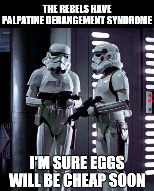 Two stormtroopers stand facing each other in a dimly lit corridor, one holding a blaster. The text at the top reads 'THE…