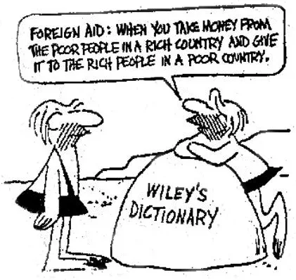 A cartoon depicts a person standing beside a giant dictionary labeled 'WILEY'S DICTIONARY'. The person is holding a large…