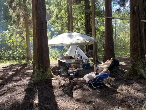 A man and a child relax in folding chairs under a canopy in a forest campsite, with a tent, campfire, and a small dog…