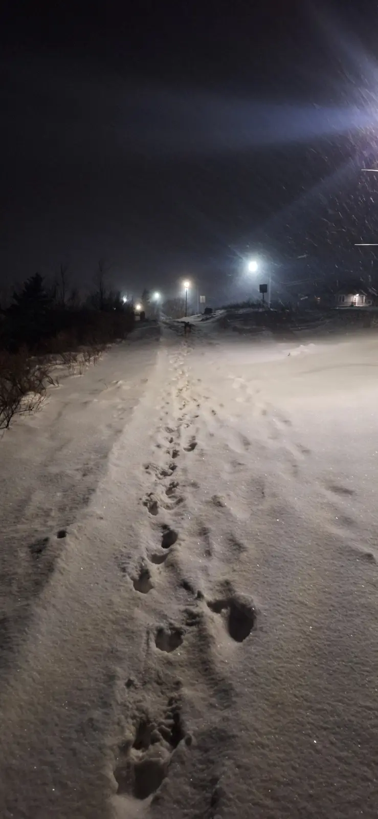 A nighttime photo of a snowy path illuminated by streetlights, with a clear trail of human footprints leading away from the…