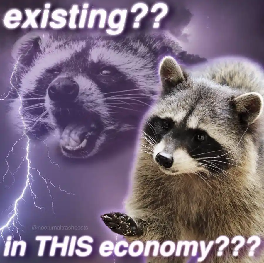 The image features two raccoons against a purple stormy background with lightning. One raccoon is in the foreground, looking…
