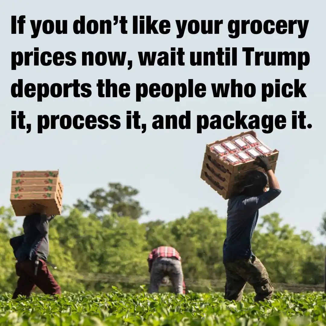Three workers in a field carry heavy crates of produce on their heads while bending over in the crops. The image has large…