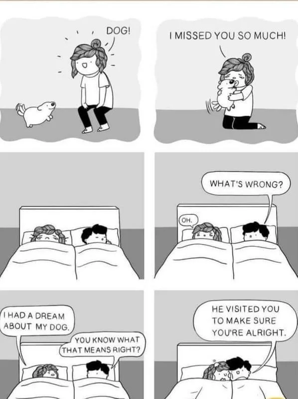 A six-panel black-and-white comic strip shows a woman excitedly greeting her dog, then sharing a dream with her partner…