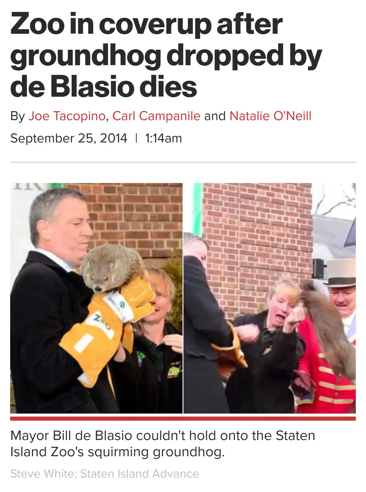 A newspaper article header shows a split image: left, a man in a suit holding a groundhog in yellow gloves; right, the same…