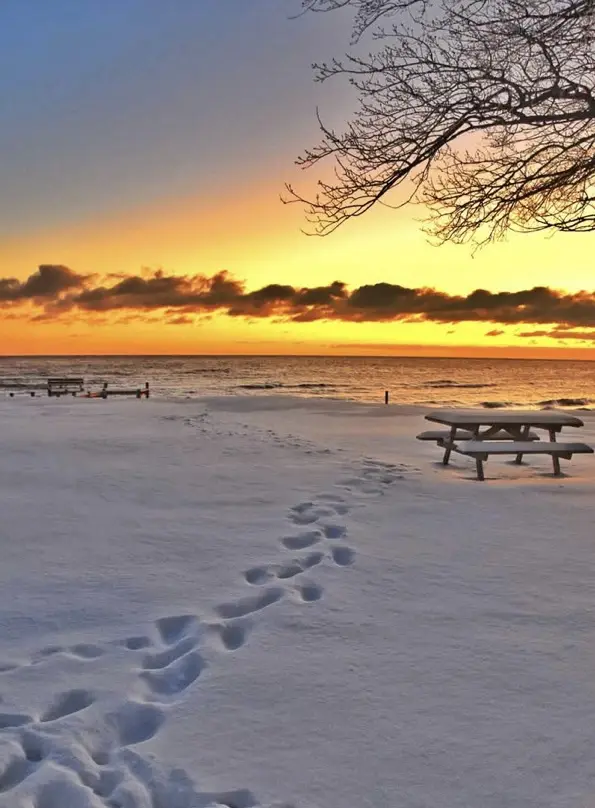 A serene winter beach at sunset, with snow covering the ground and picnic tables. A trail of footprints leads from the…