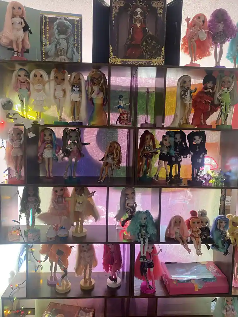 A large, multi-tiered shelving unit is densely packed with dozens of colorful, stylized dolls, mostly Monster High and Bratz…