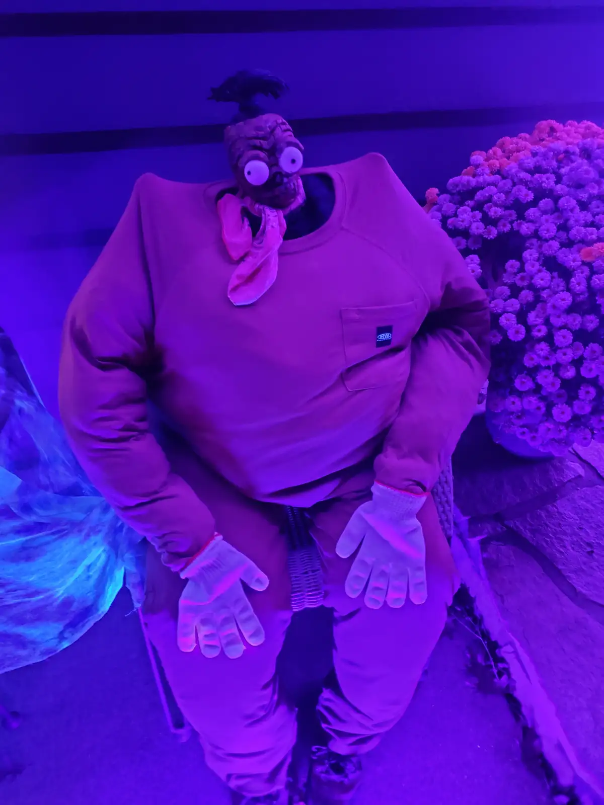 A person in a large, oversized purple sweatshirt and pants, wearing a grotesque chicken mask with bulging eyes and a pink…
