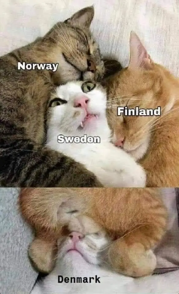 Two cats cuddle a white cat labeled 'Sweden' in the top panel; one cat is labeled 'Norway' and the other 'Finland'. In the…