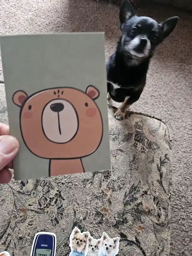 Exciting Surprise: An Envelope Arrived Today!