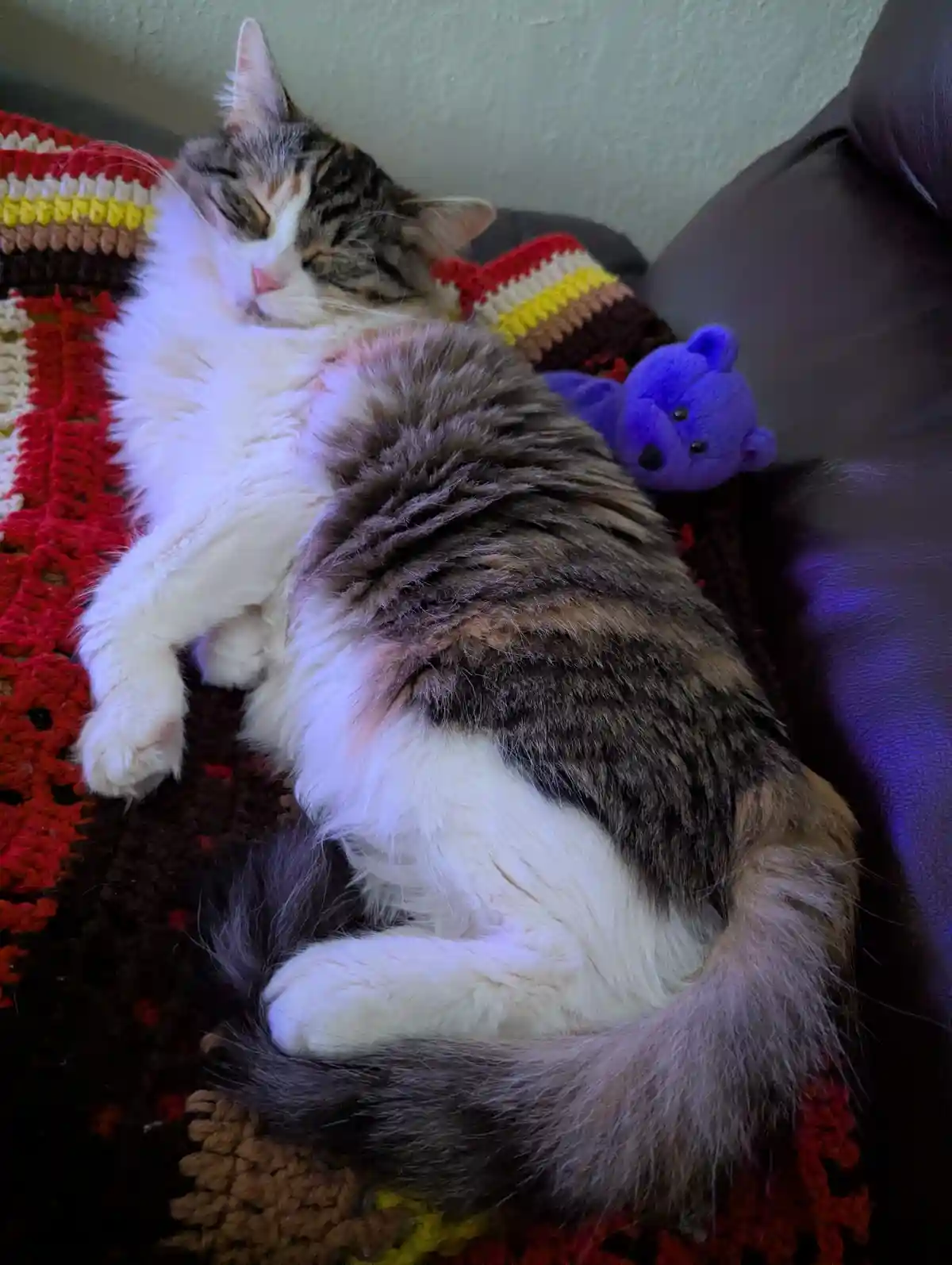 A fluffy, long-haired cat with white and brown tabby markings is curled up and sleeping soundly on a colorful crocheted…
