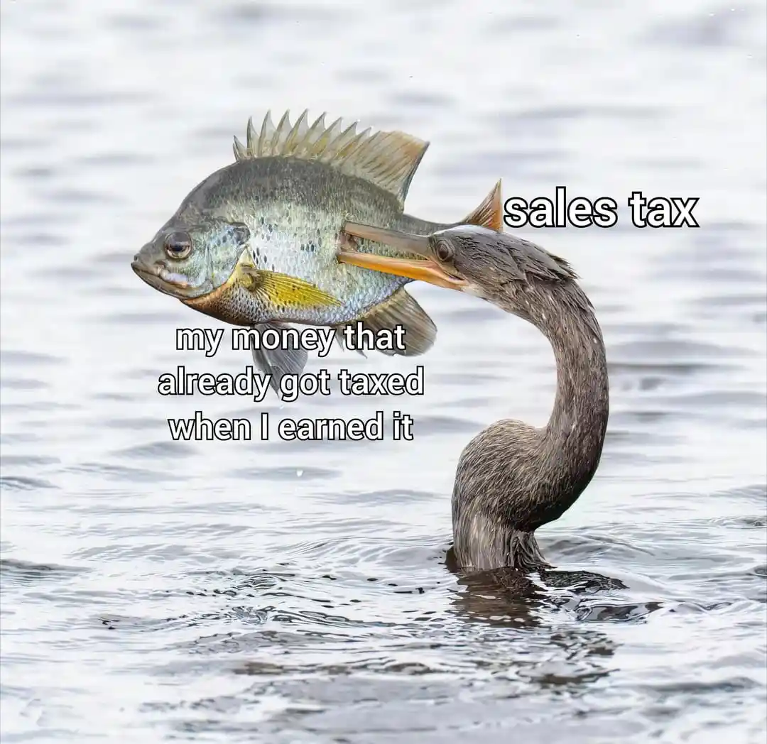 A bird, labeled 'sales tax', is shown biting into a fish, which is labeled 'my money that already got taxed when I earned…