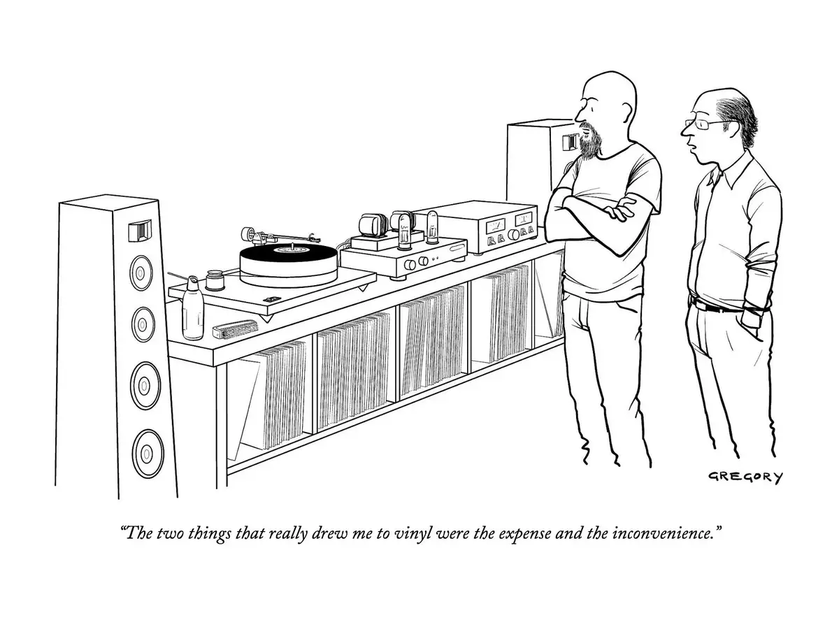 The Struggles of Vinyl: A Cartoon Perspective