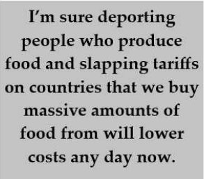 A plain gray background with black text that reads: 'I'm sure deporting people who produce food and slapping tariffs on…