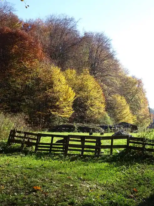A scenic autumn landscape featuring a wooden fence in the foreground, with vibrant yellow and orange trees on a hillside…