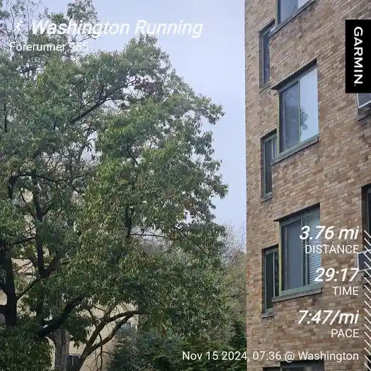 A screenshot of a Garmin Forerunner 955 running GPS watch displaying a workout summary over a photo of a tree and brick…
