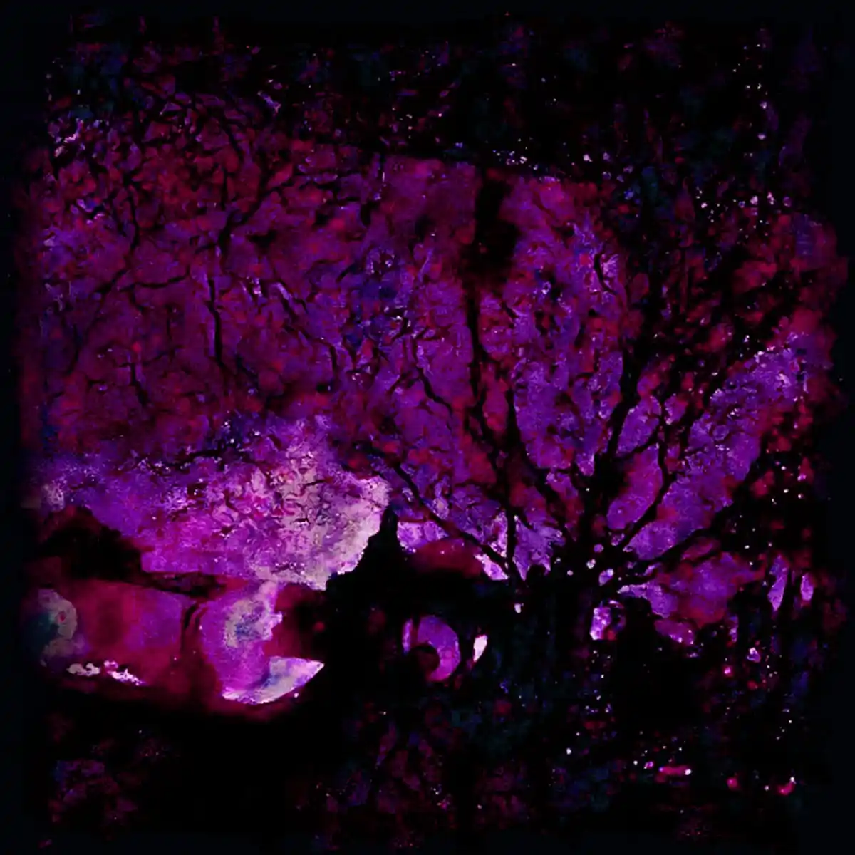 A dark, abstract image with a purple and magenta color scheme, showing a silhouette of a tree with intricate branches…