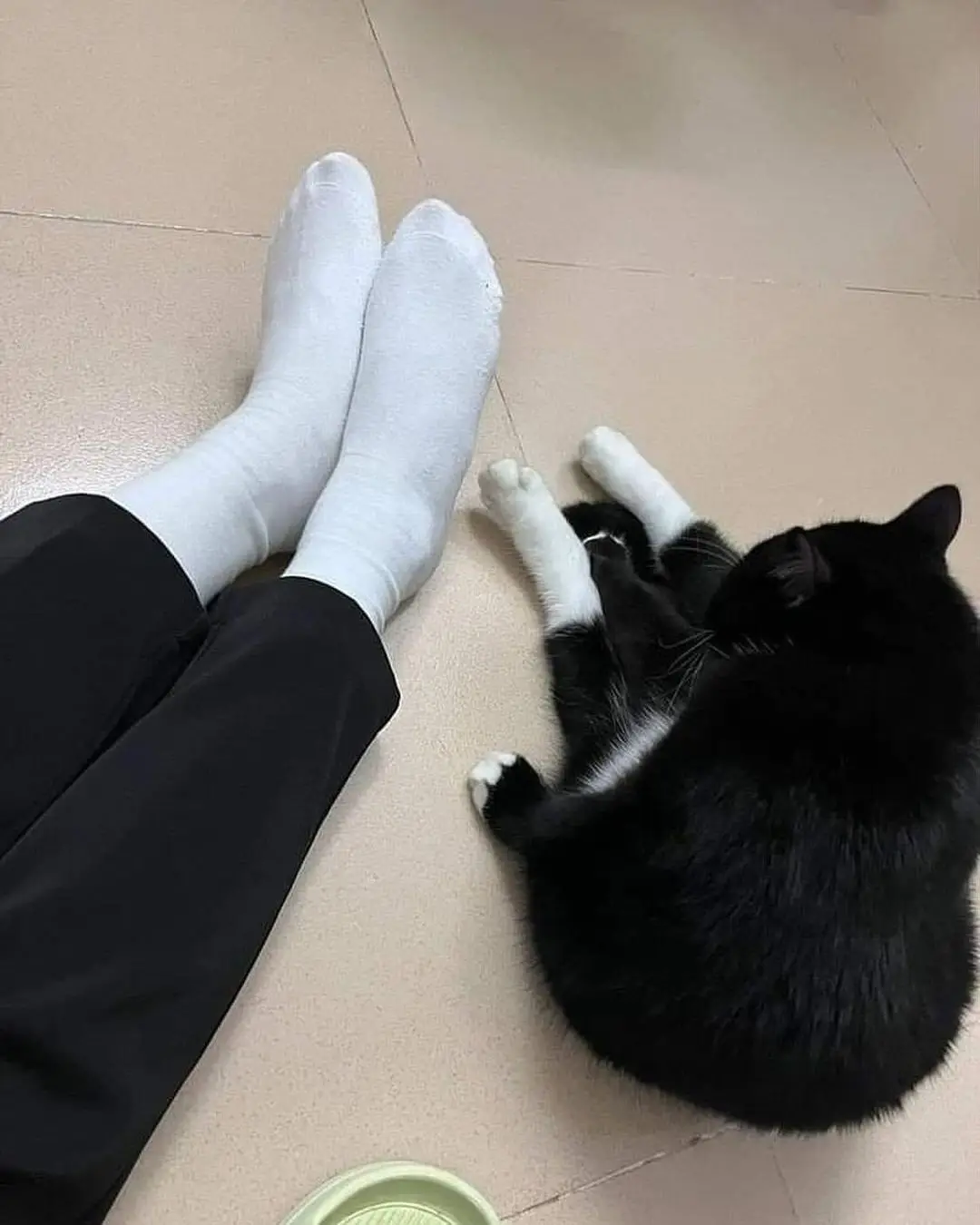 A person wearing white socks and black pants sits on a tiled floor, their feet visible. Beside them, a black-and-white cat…