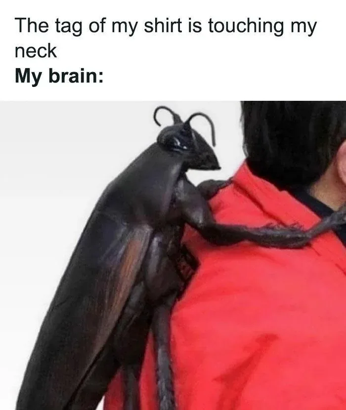 A person in a red shirt has a giant, realistic-looking black cockroach perched on their shoulder, seemingly climbing up…