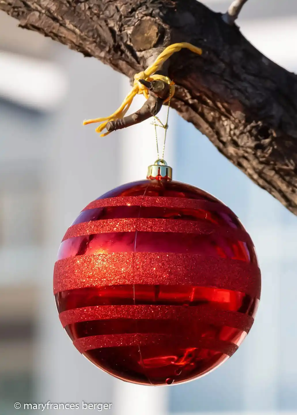 A shiny red Christmas ornament with glittery horizontal stripes hangs from a tree branch by a yellow string tied around a…