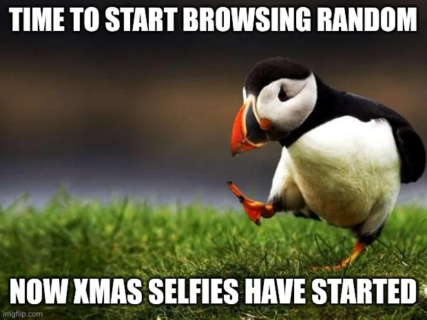 A penguin stands on grass, looking down with one foot lifted, as if contemplating or preparing to move. The top text reads…