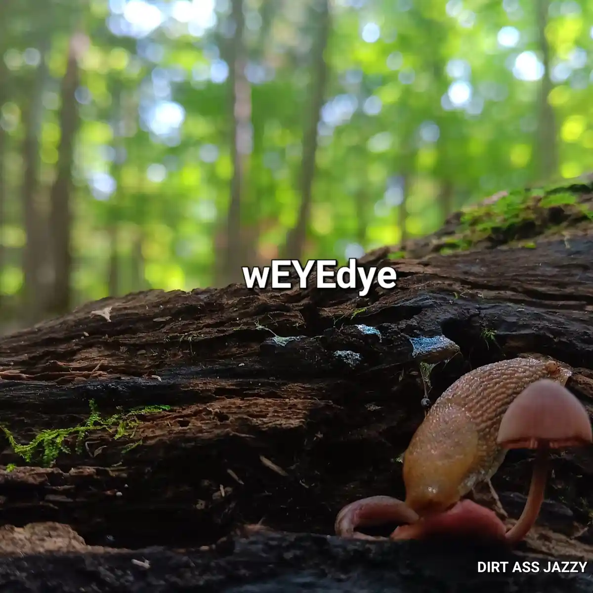 A close-up photo shows a slug eating a small mushroom on a mossy, decaying log in a forest. The background is blurred green…