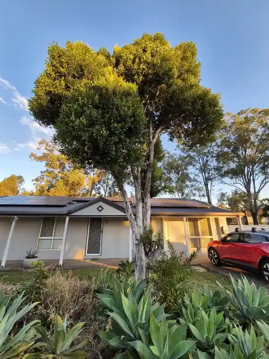 A photo of a house with solar panels on the roof, a large tree in the front yard, and a red car parked nearby. The overlaid…