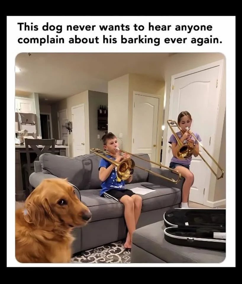 A golden retriever sits calmly in the foreground of a living room, looking toward two children sitting on a gray couch. The…