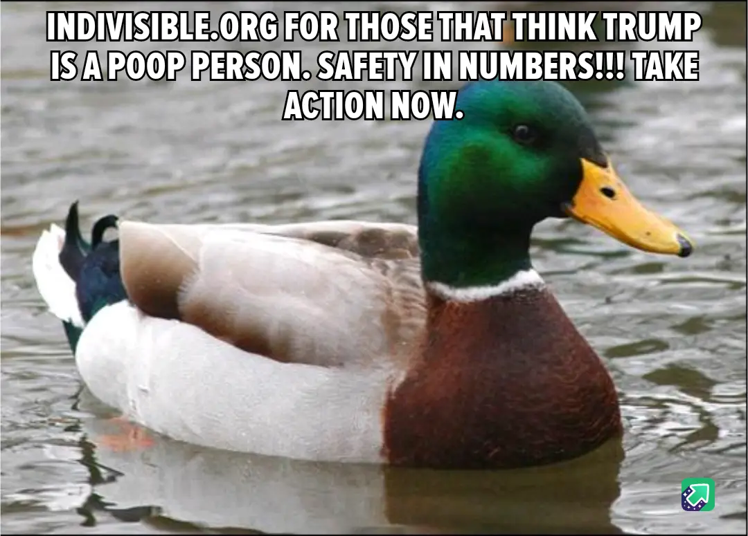 A mallard duck with a green head and white body floats calmly in water, facing right. Overlaid text reads: 'INDIVISIBLE.ORG…