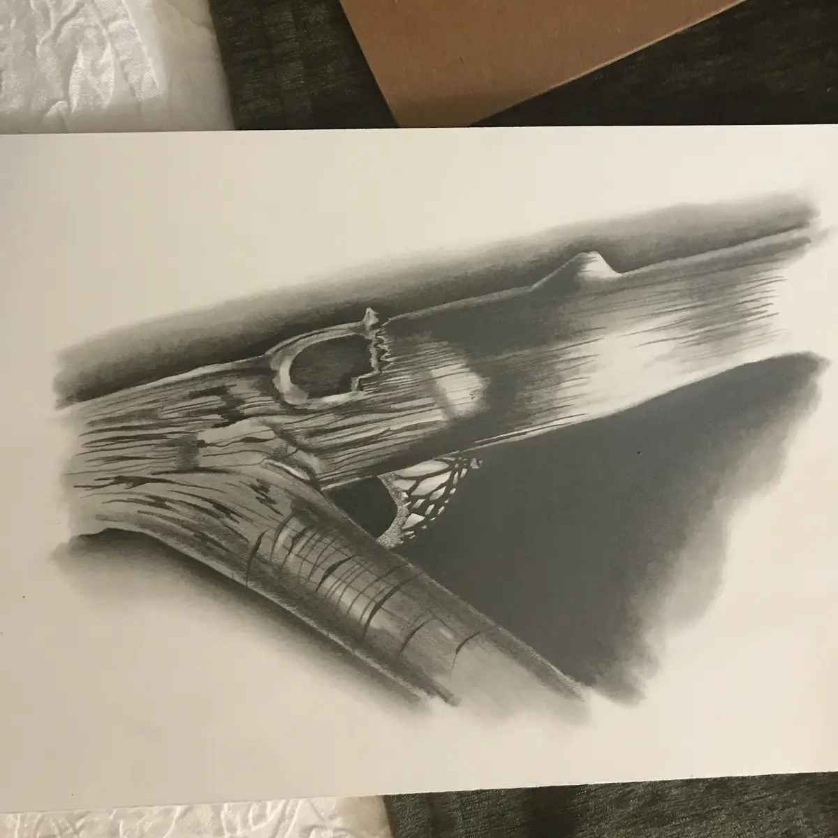 A detailed charcoal drawing on white paper shows a realistic, textured gun with a butterfly emerging from its barrel…
