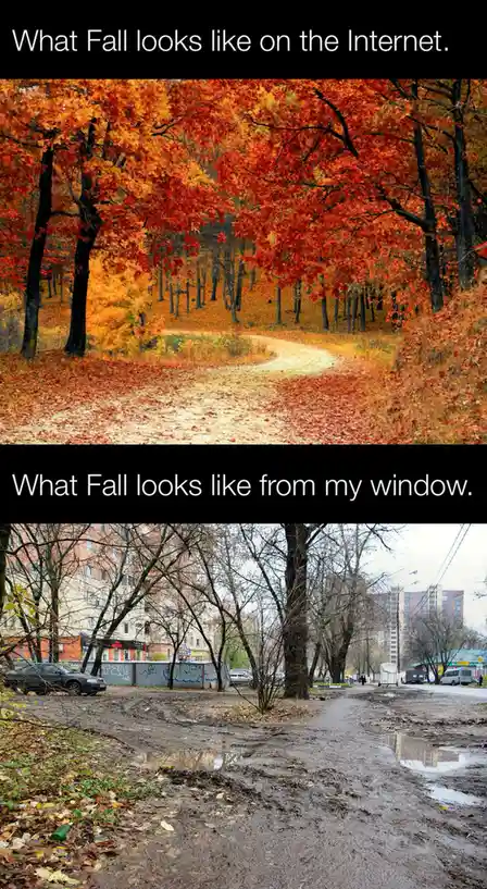 The image is split into two panels. The top panel shows a picturesque autumn scene with vibrant red and orange leaves…