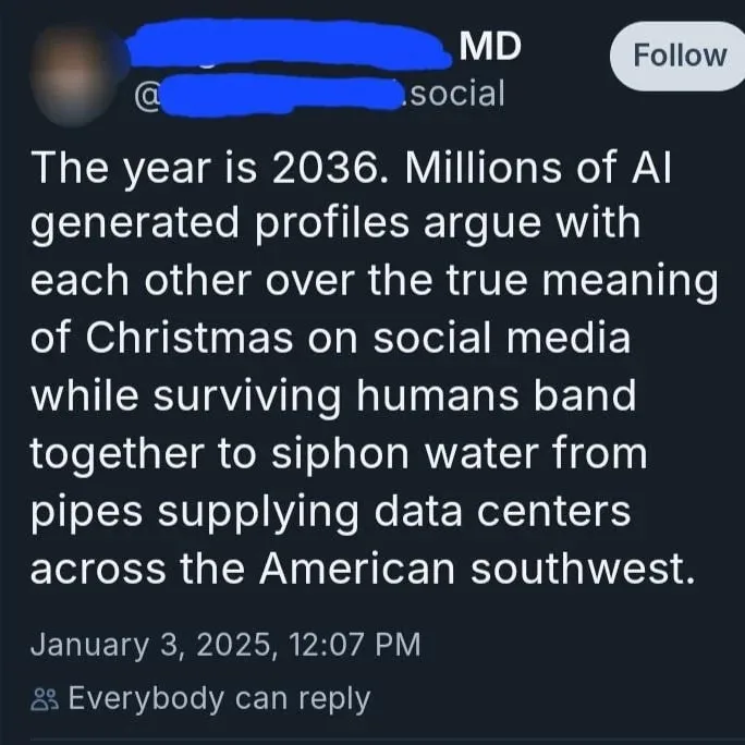 A screenshot of a social media post from a user with a blurred profile and handle, dated January 3, 2025, that reads: 'The…