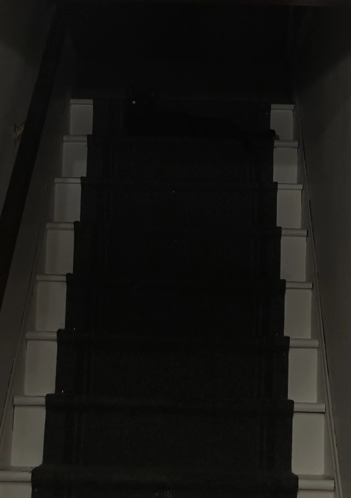 My Enigmatic Black Cat: A Mysterious Companion