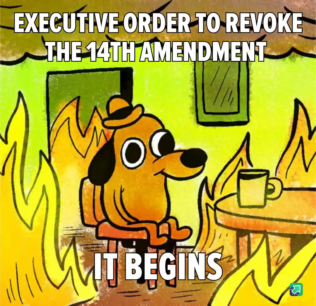 A cartoon dog wearing a hat sits calmly in a room surrounded by flames, with a mug on a table nearby. The text at the top…
