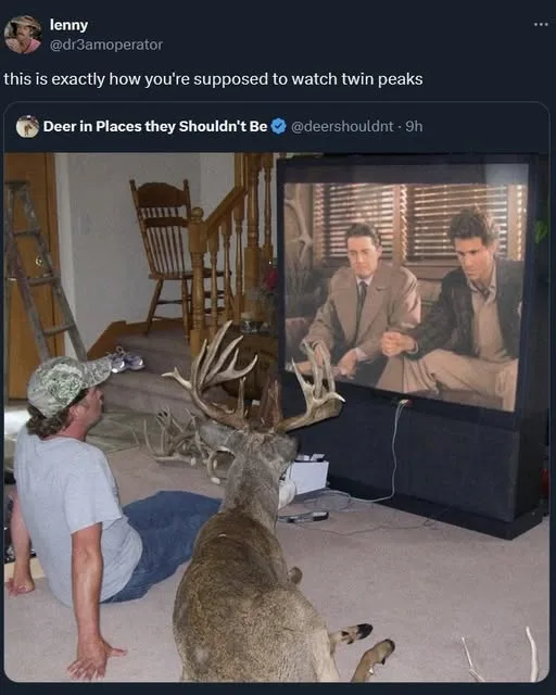 A man sits on a carpeted floor in a living room, watching a TV screen showing two men from the show Twin Peaks. A large deer…