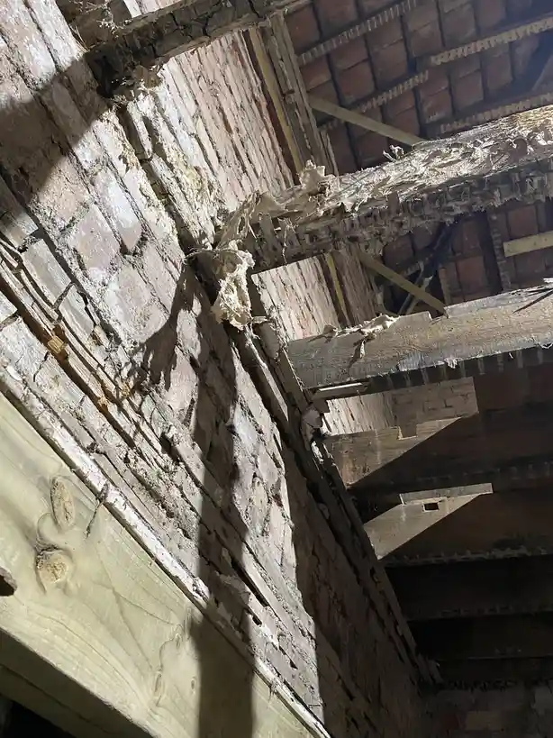 The Dangers of Dry Rot