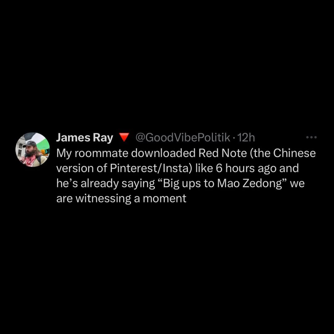 A screenshot of a tweet from James Ray (@GoodVibePolitik) posted 12 hours ago. The tweet reads: 'My roommate downloaded Red…