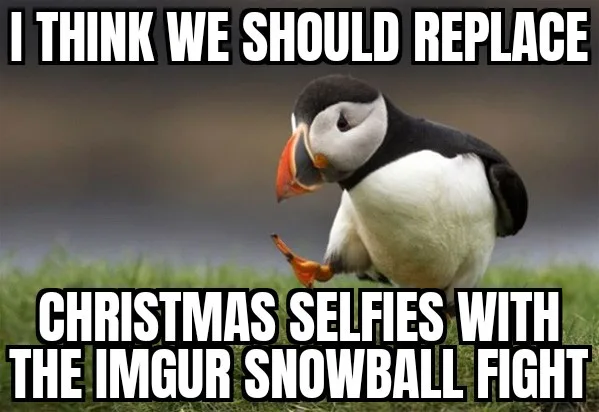 A penguin-like bird with a black and white body, orange beak, and orange feet stands on grass, looking down at its foot. The…